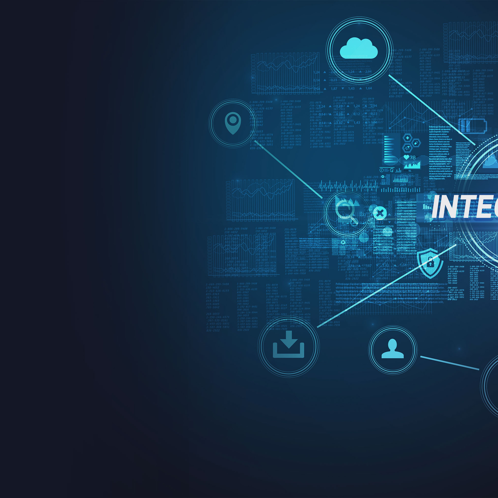 Data Integration Service and Consulting Header Image